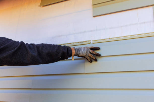 Reliable Bamberg, SC Siding Solutions